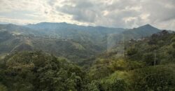 LOCAL BAJO TABLAZO-1114