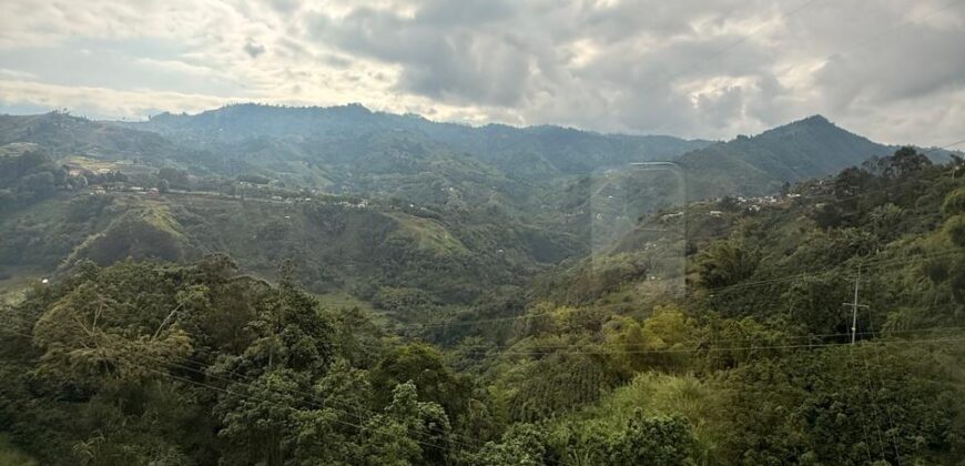 LOCAL BAJO TABLAZO-1114